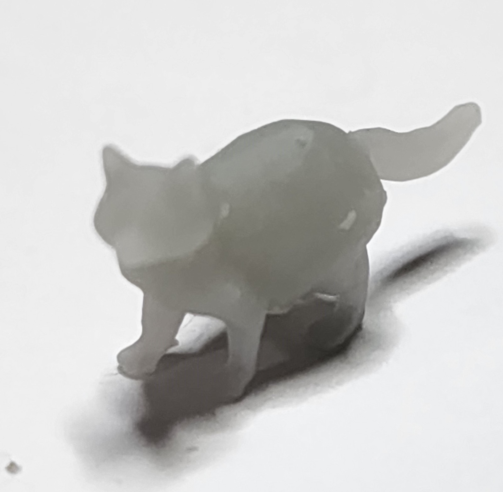 1/64 3D Printed Raccoon