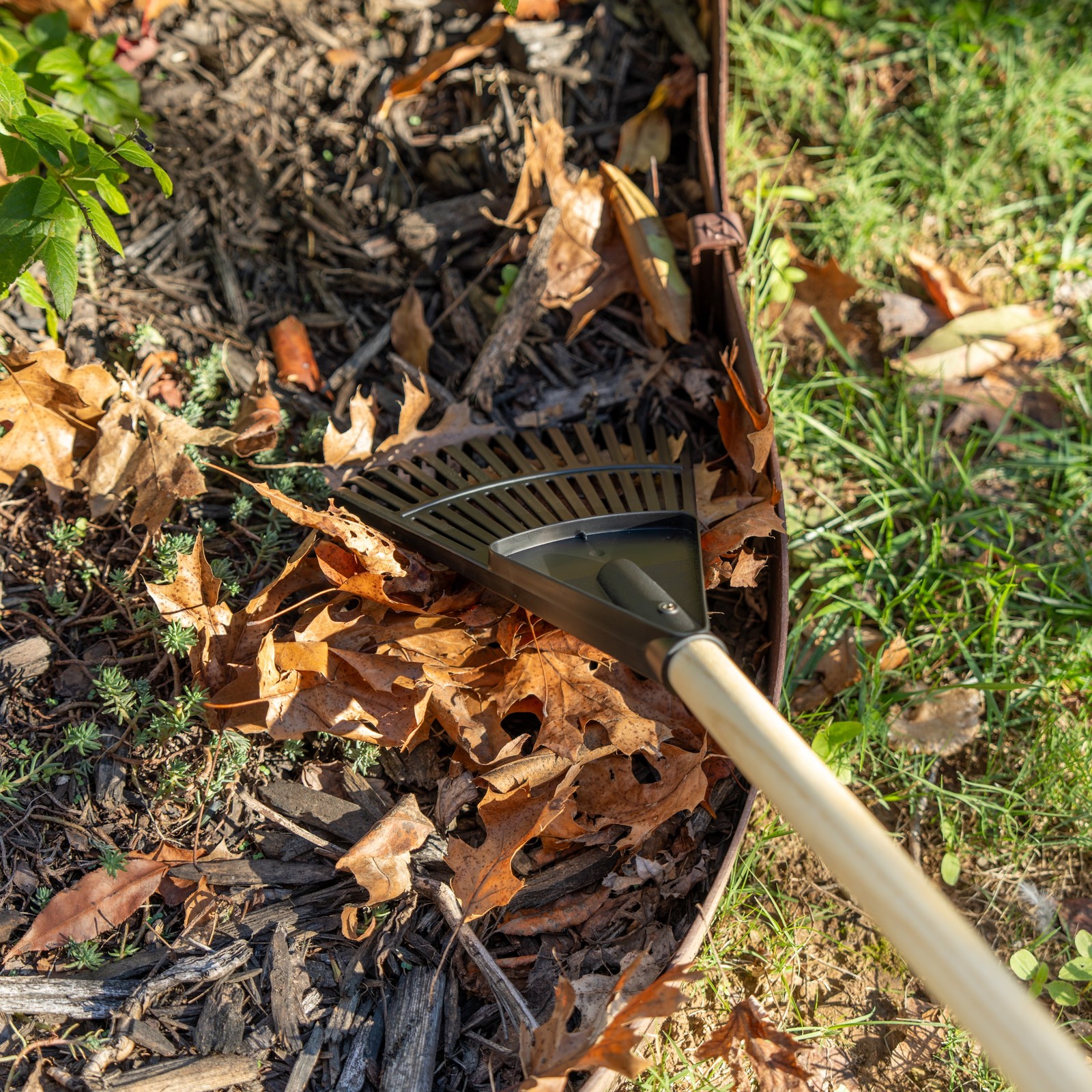 8-inch Wood & Poly Shrub Leaf Rake Ergonomic Handle Versatile Yard Tool