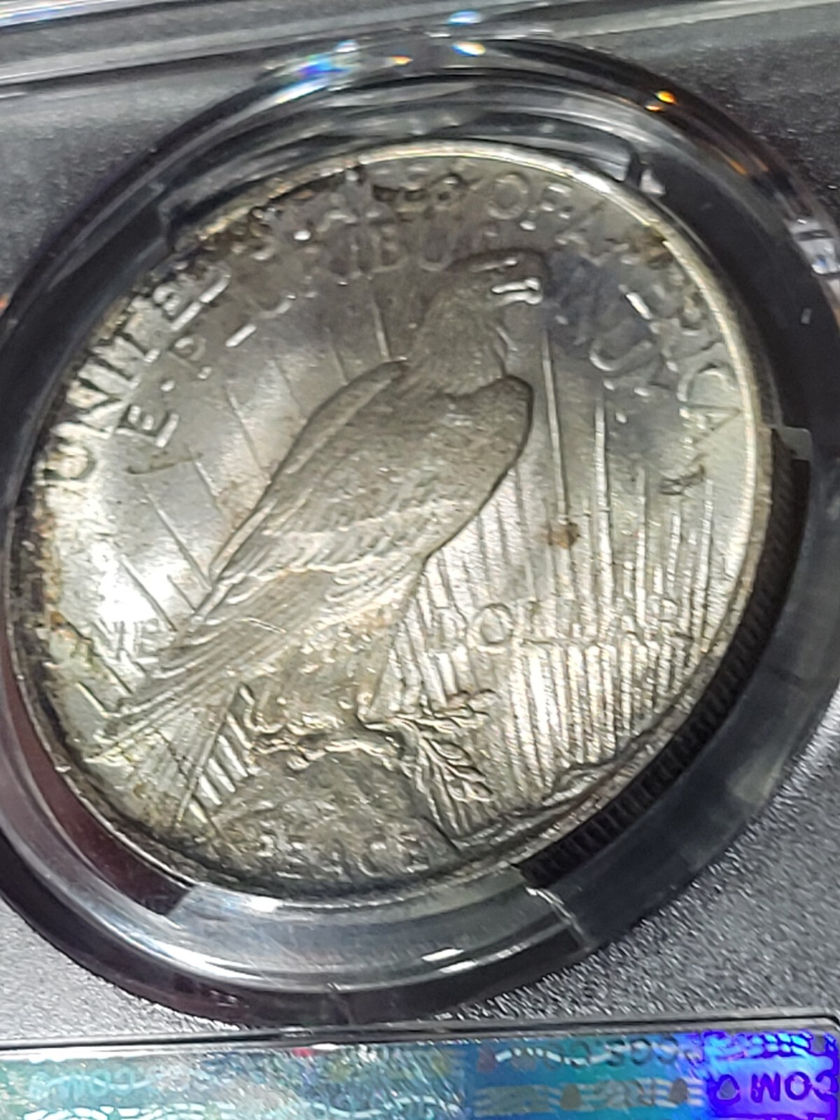 1923 $1 Peace Dollar PCGS MS65 Toned