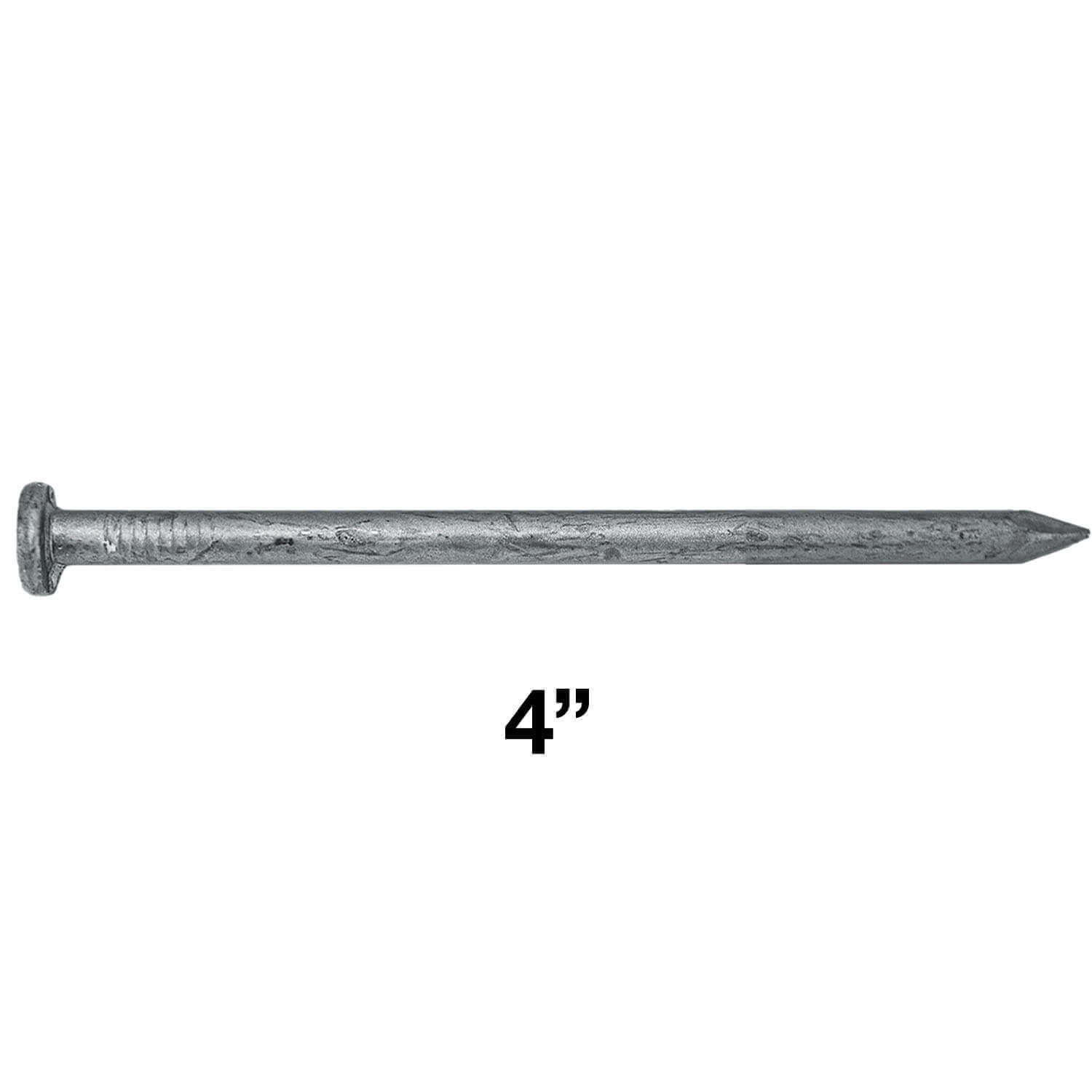 Exterior Hot Dipped Galvanized Common Framing Nail