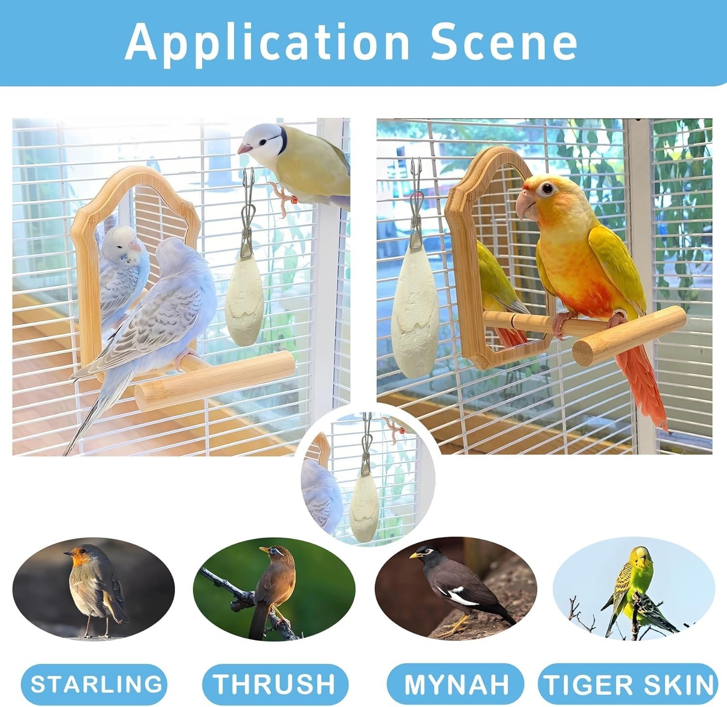 3.5"-4" Cuttlebone Birds Parakeets Cuddle Bone W/ Metal Clip Cuttlefish Bone