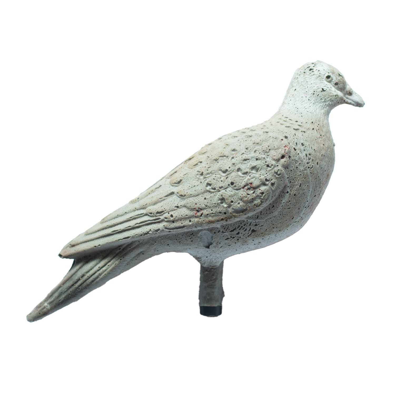 IBB 3D Animal Pigeon