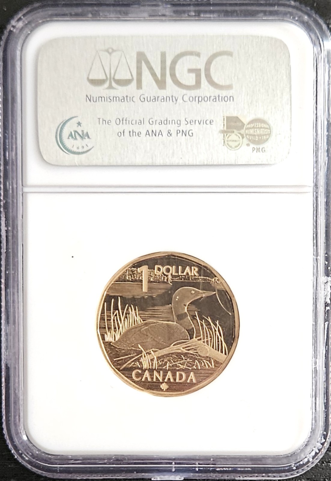 2004 Canada $1 Elusive Loon Proof NGC PF69