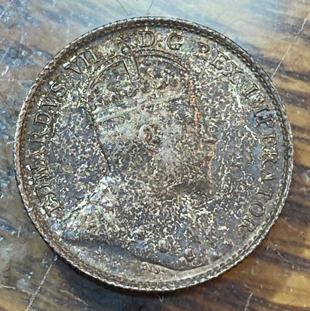 1905 Canada 5 Cents Super Original Very Choice AU Antique Patina KM-13 CHRC