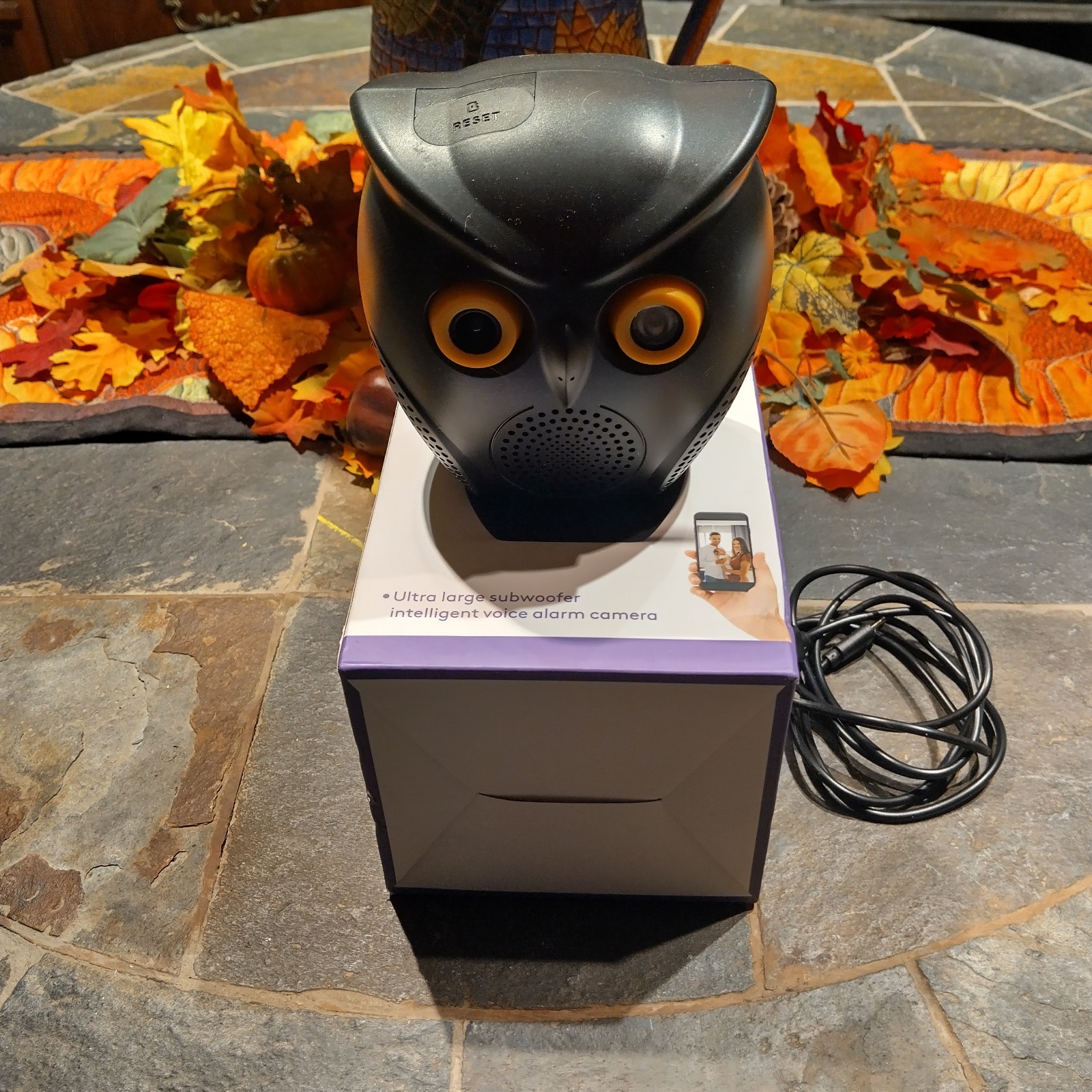 Big Horn AI Owl Ultra Large Subwoofer Intelligent Voice Alarm Camera New In Box