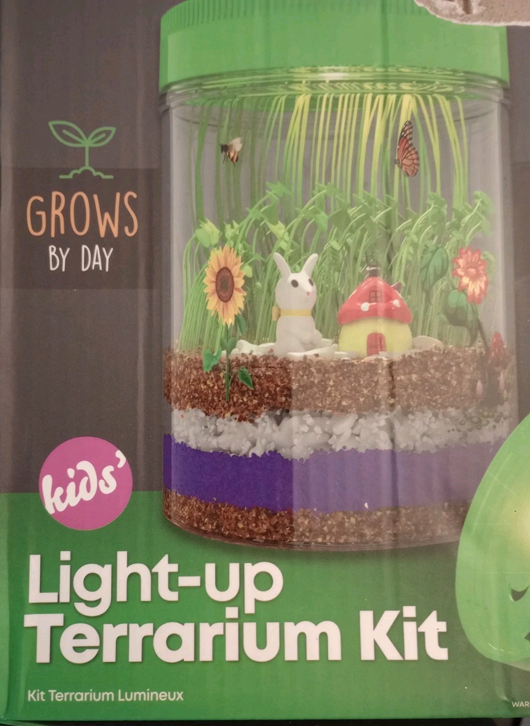 Dan&Darci Light-up Terrarium Kit ( open box )