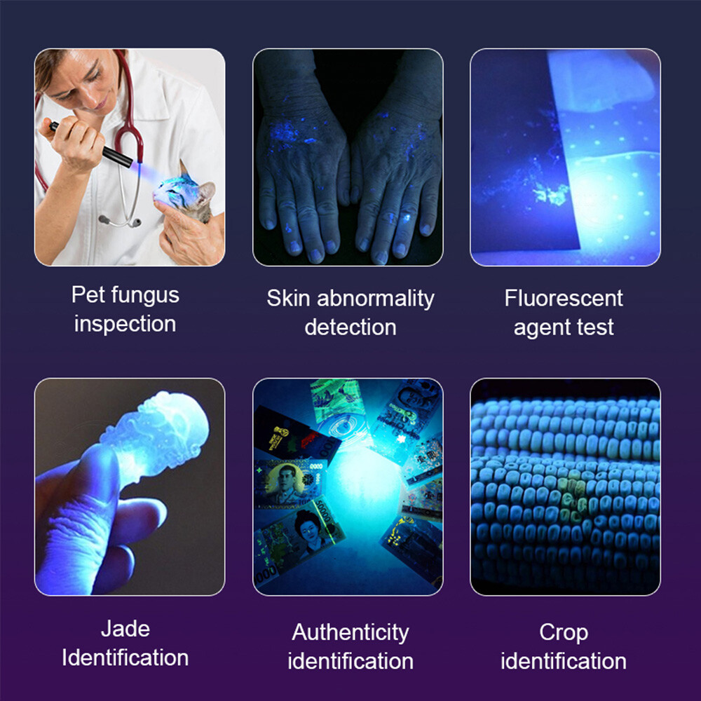 USB Rechargeable UV Light LED Flashlight 365nm Blacklight Inspect Torch Zoomable