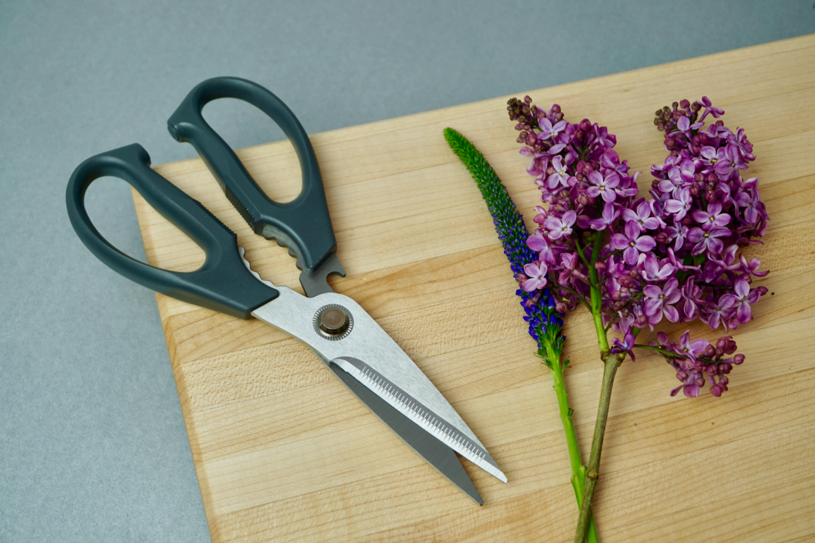 Stainless Steel Kitchen Shears Heavy Duty Scissors