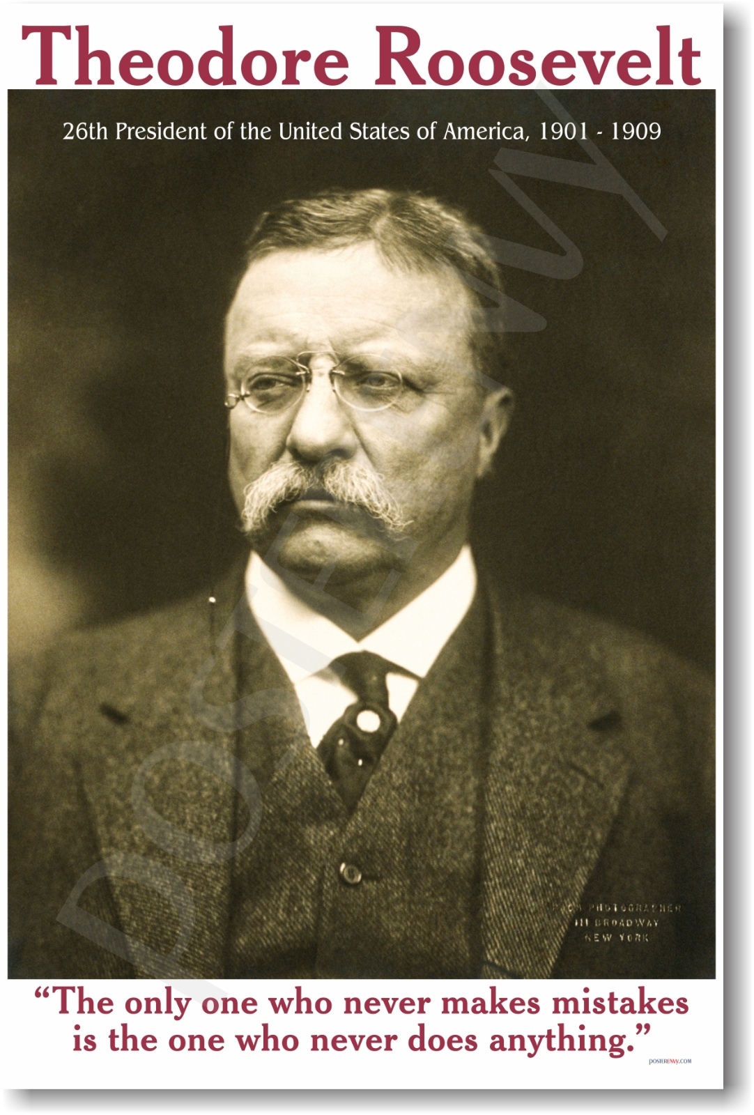 President Theodore Roosevelt - Mistakes - NEW Famous Person POSTER