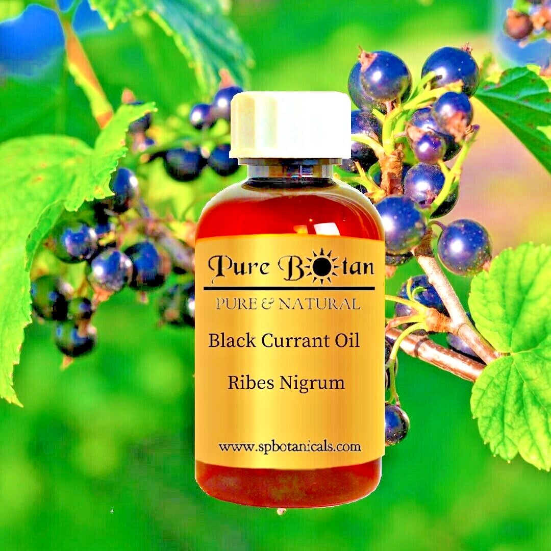 Black Currant Seed Oil - Organic - Cold Pressed - 4oz