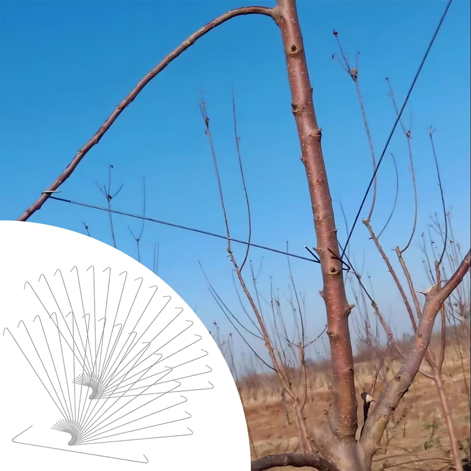 Tree Branch Bending Tool 100 pcs, 15.7inch Fruit Tree Branch Spreaders, Fruit...
