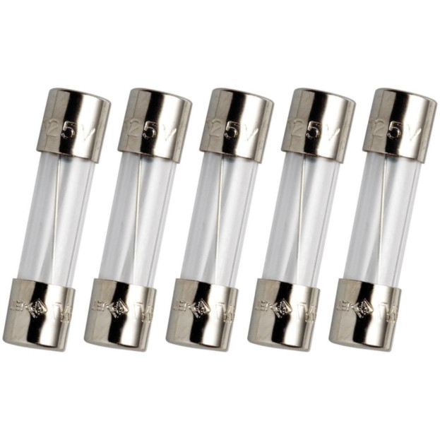 Lot 5Ea Quick Blow FAST GLASS FUSES 125V/250V 5x20/6x30mm GMA/AGC US SELLER