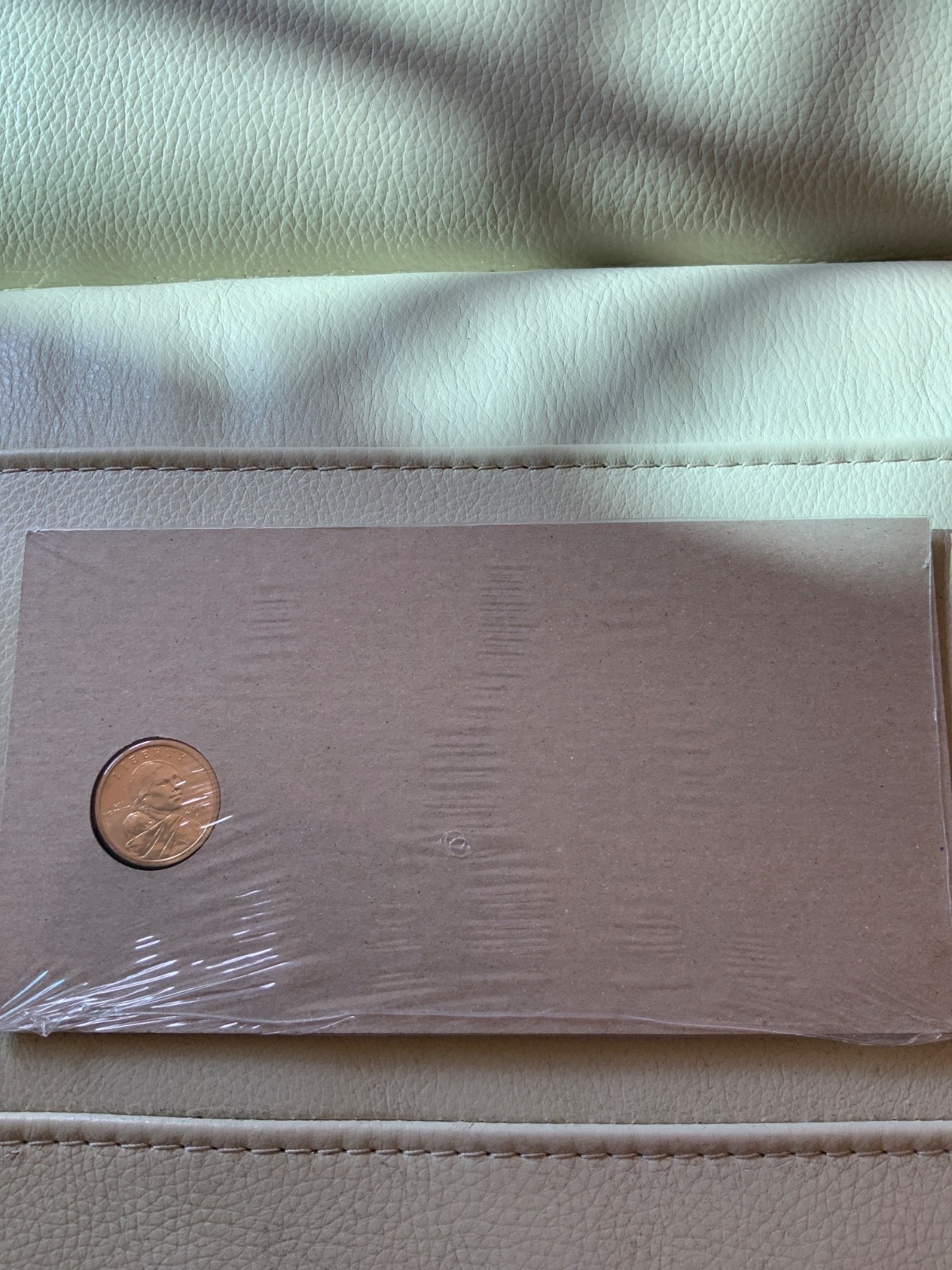 Sacagawea Dollar P mint 1999
