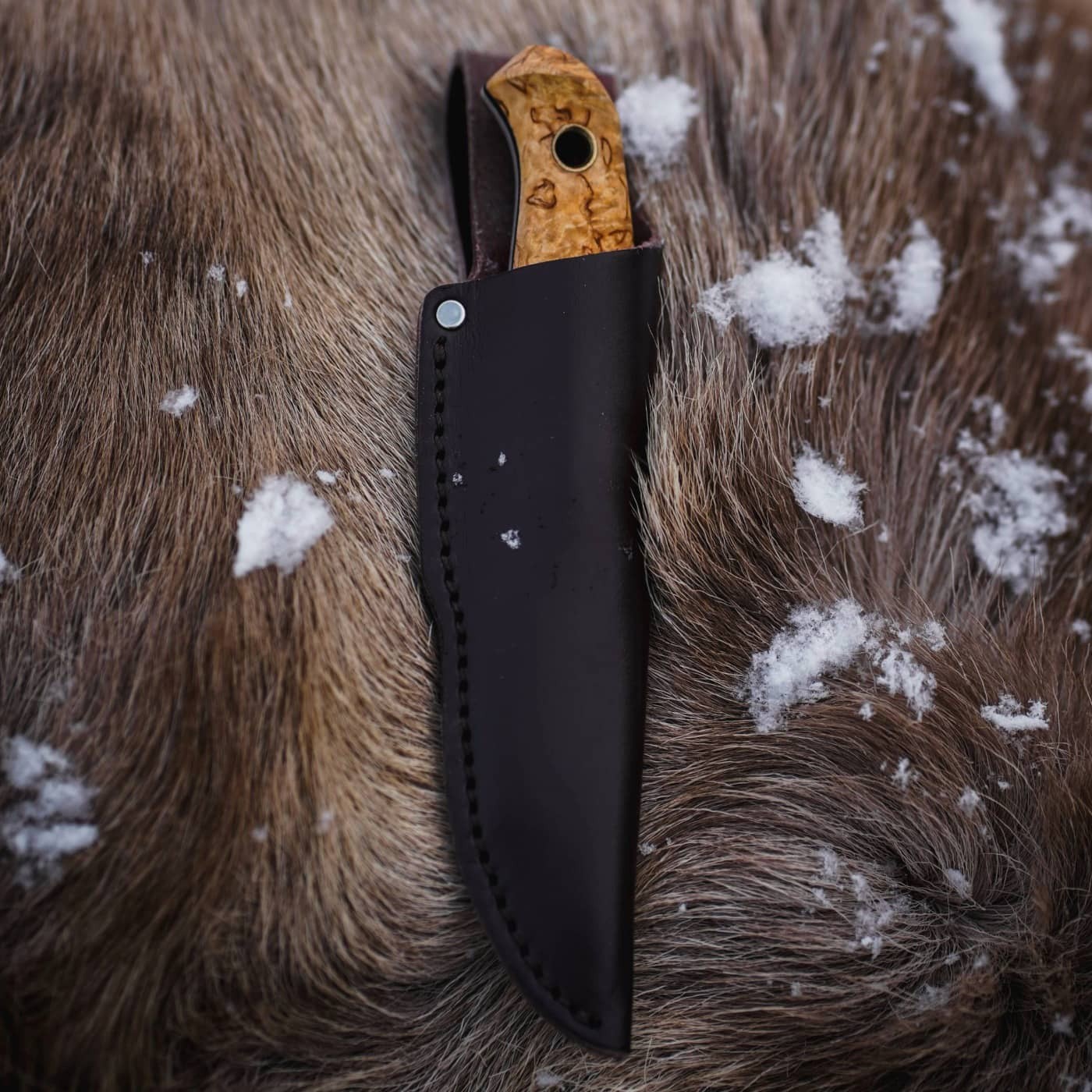 Helle Polaris Knife (New 2026)