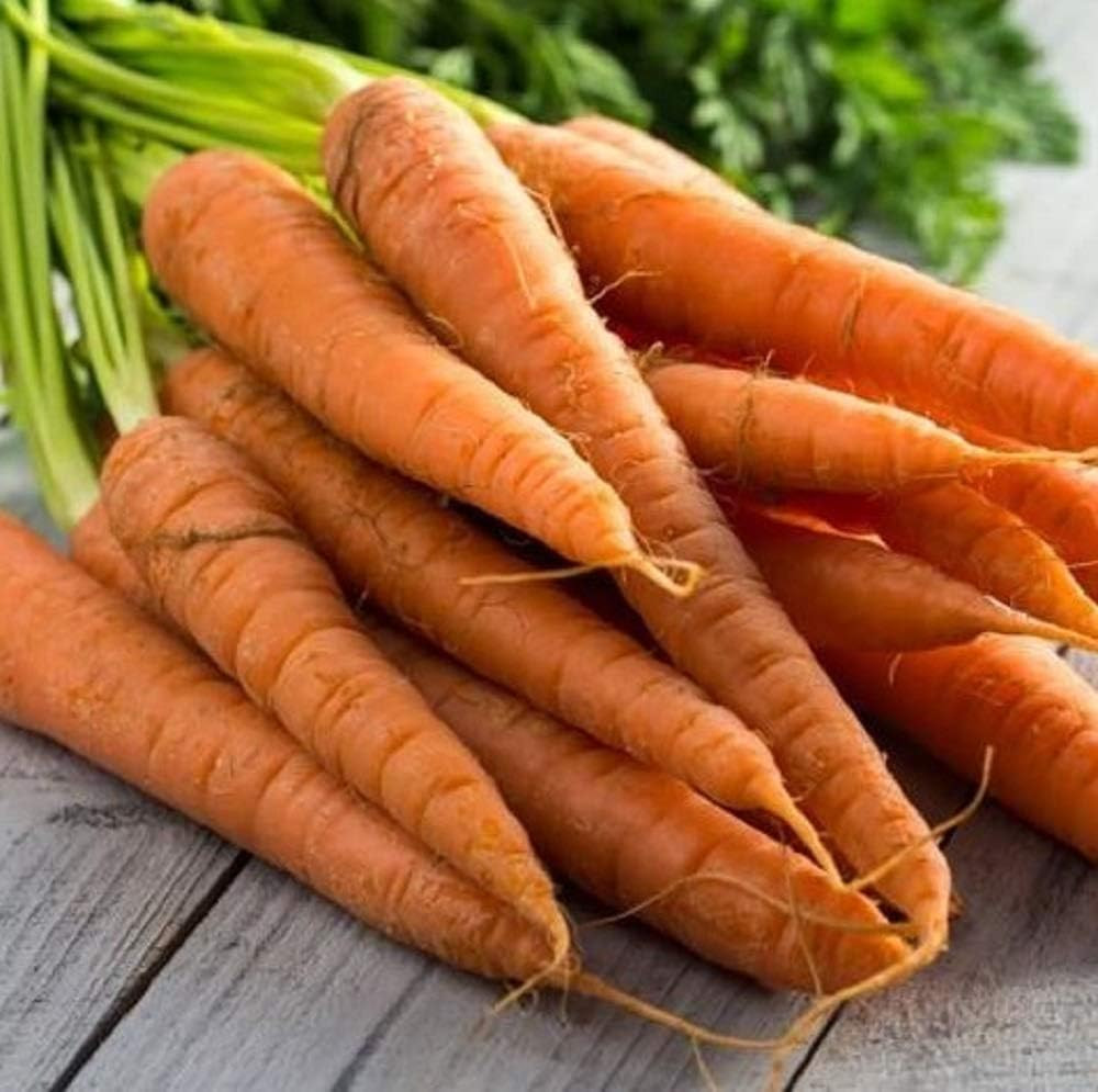 Tendersweet Carrot Seeds - 25 Count Seed Pack - Non-Gmo - Rich-Orange Colored Ro