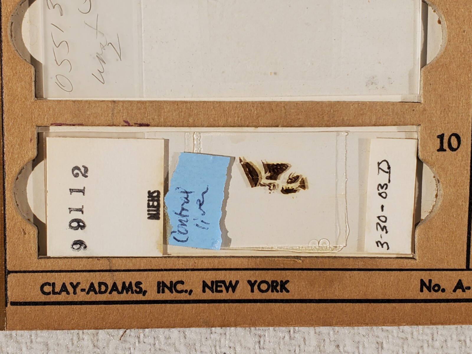 Vintage Microscope Glass Slide ~ NIEHS ~ Histology Pathology ~ Liver 10