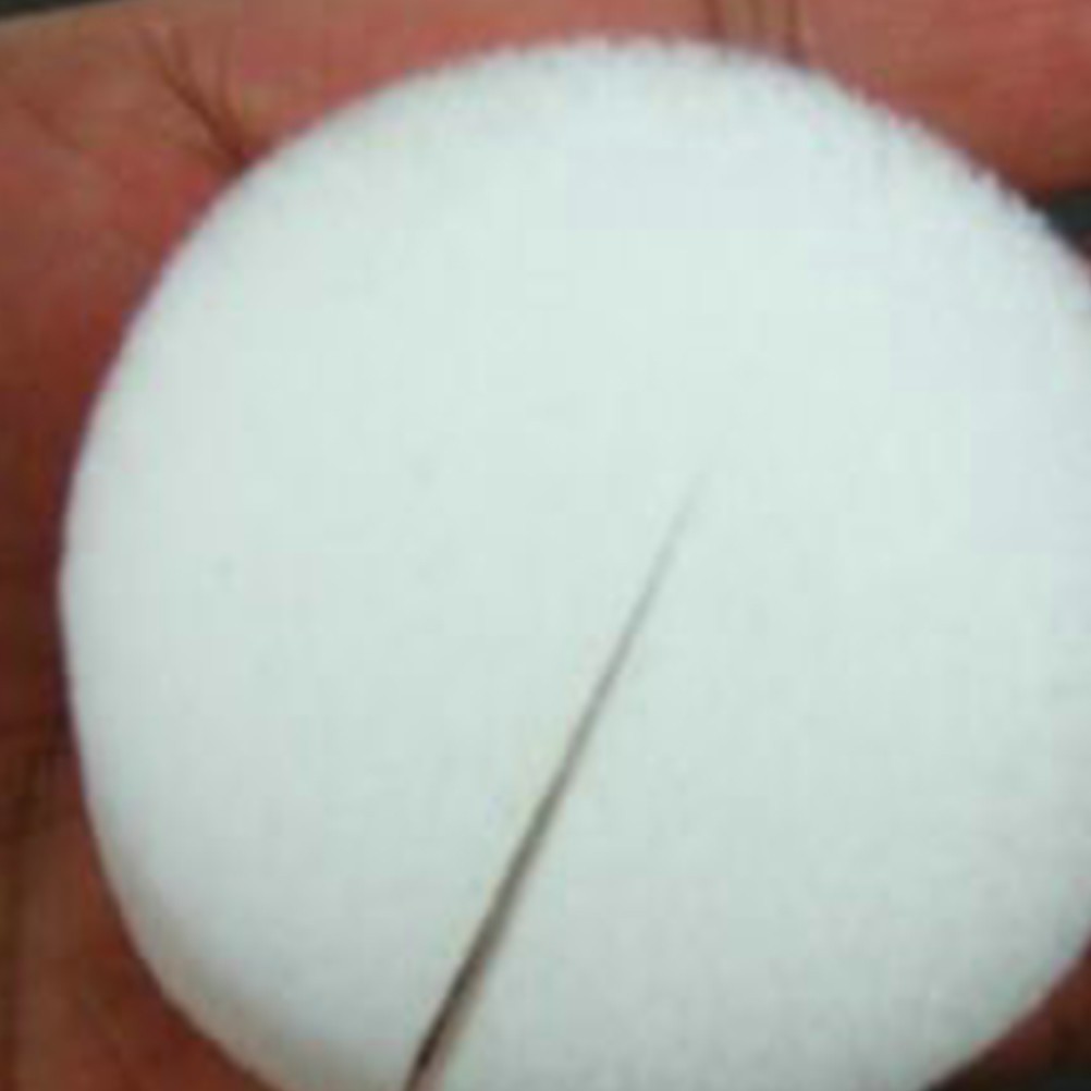 50 PCS Hydroponic Sponge Growing Medium Soilless Cultivation