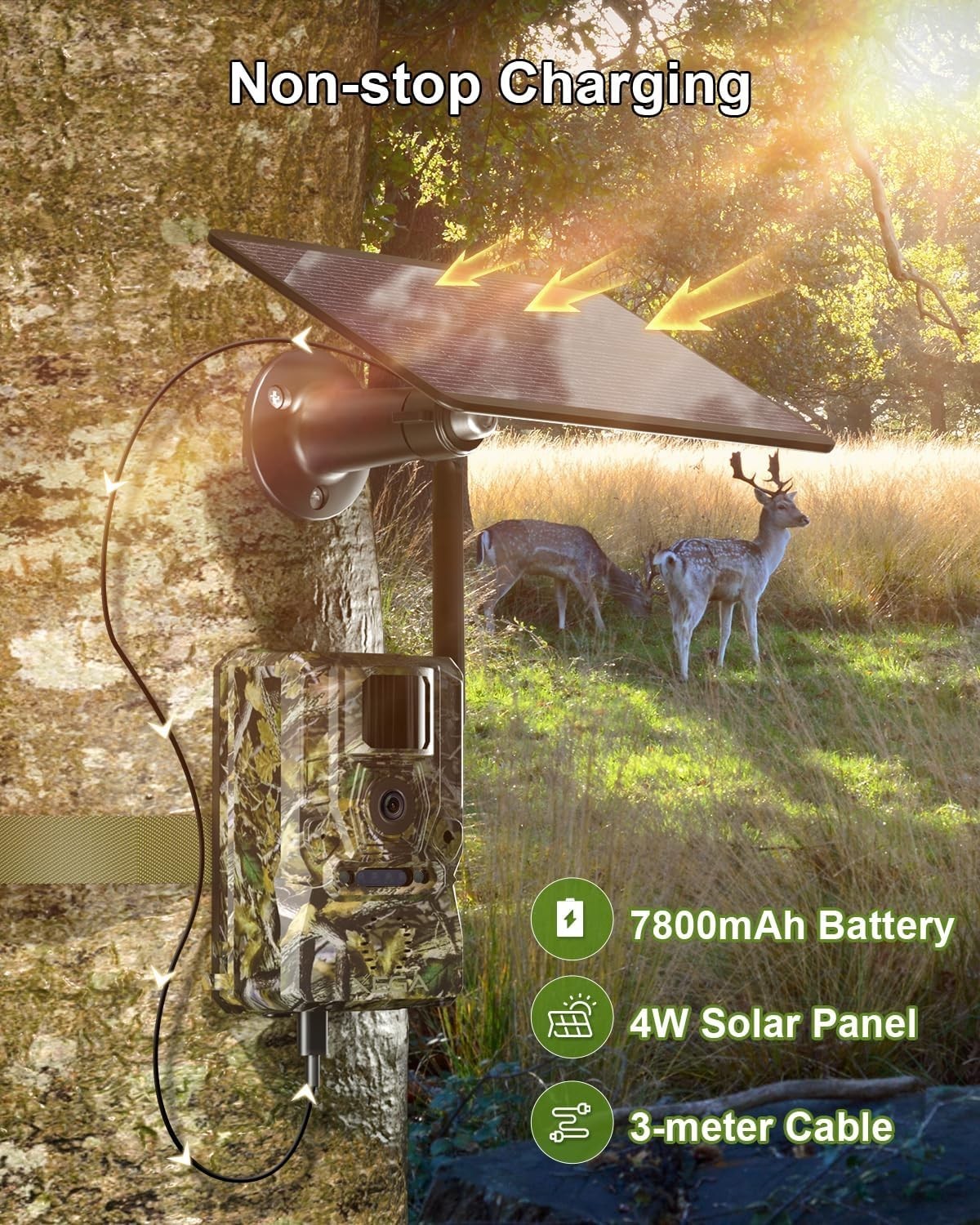 Remote Access 4G Solar Trail Camera - Motion Detection & 2-Way Audio Features