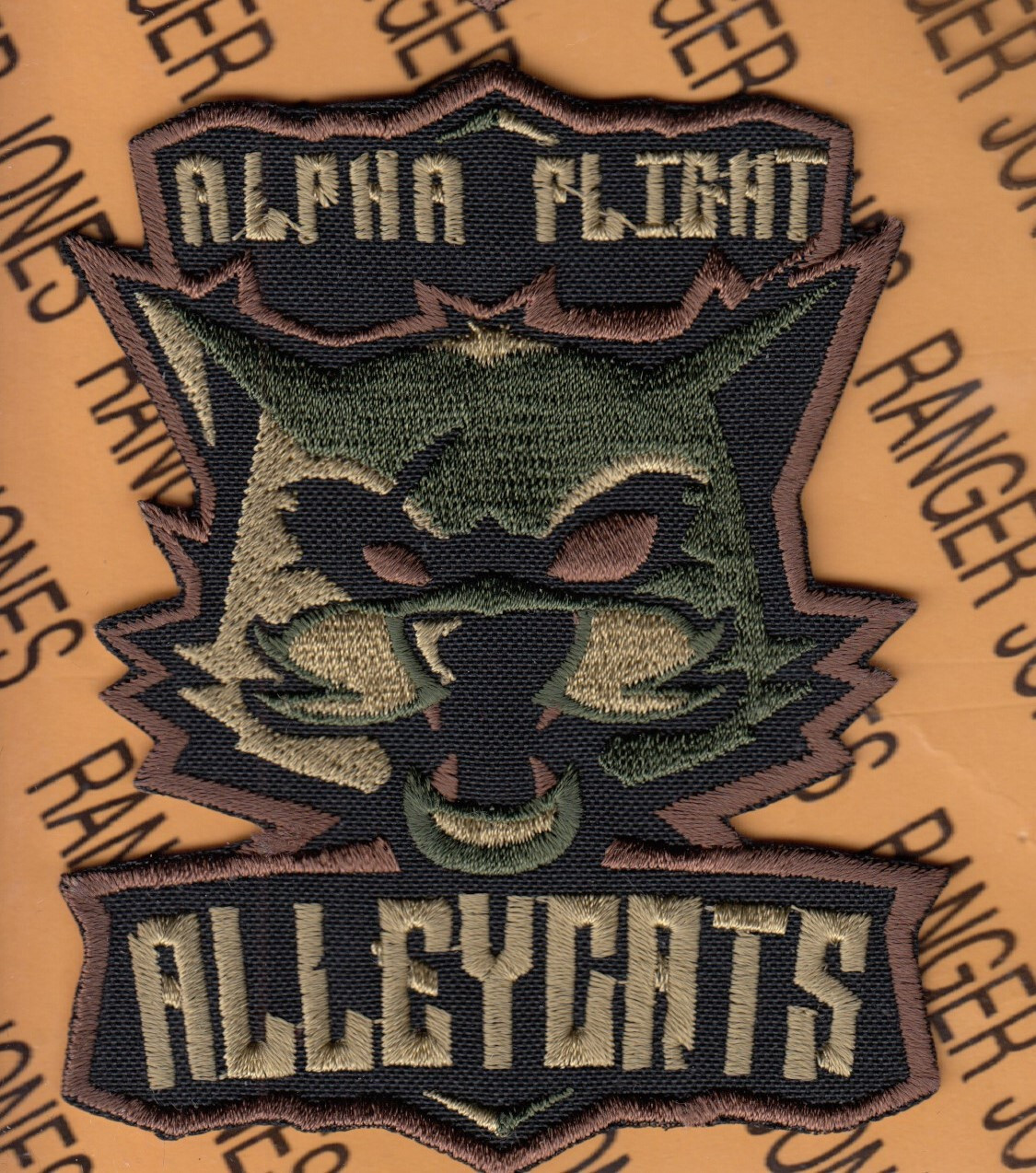 USAF Alpha Flight 48th Flight Training Sq FTS ALLEYCATS 4.25" patch c/e