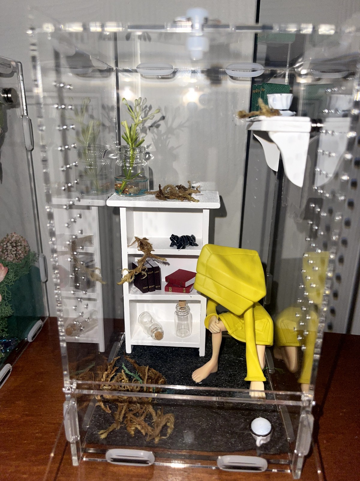 Enclosures For Spiders / Creatures