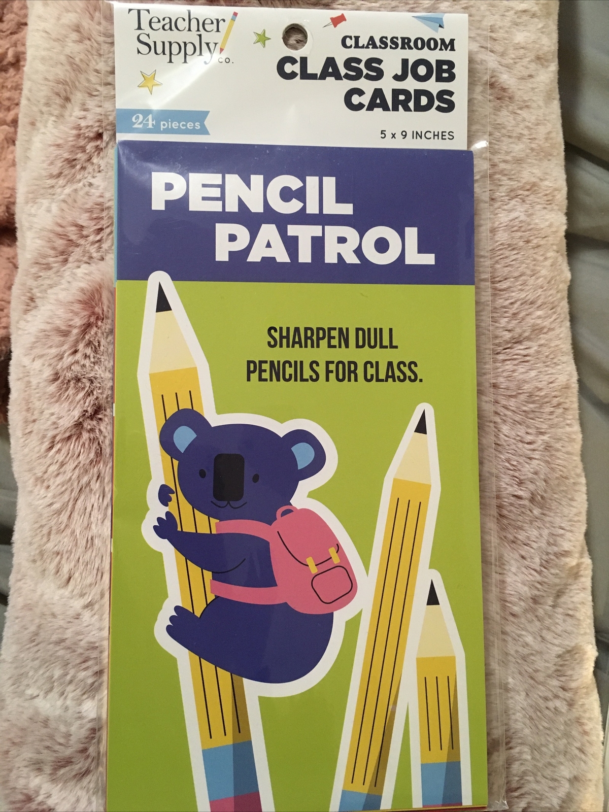 Classroom Class Job Cards 3 Bird Design 24 Pieces 5 x 9 inches Teacher Supply Co