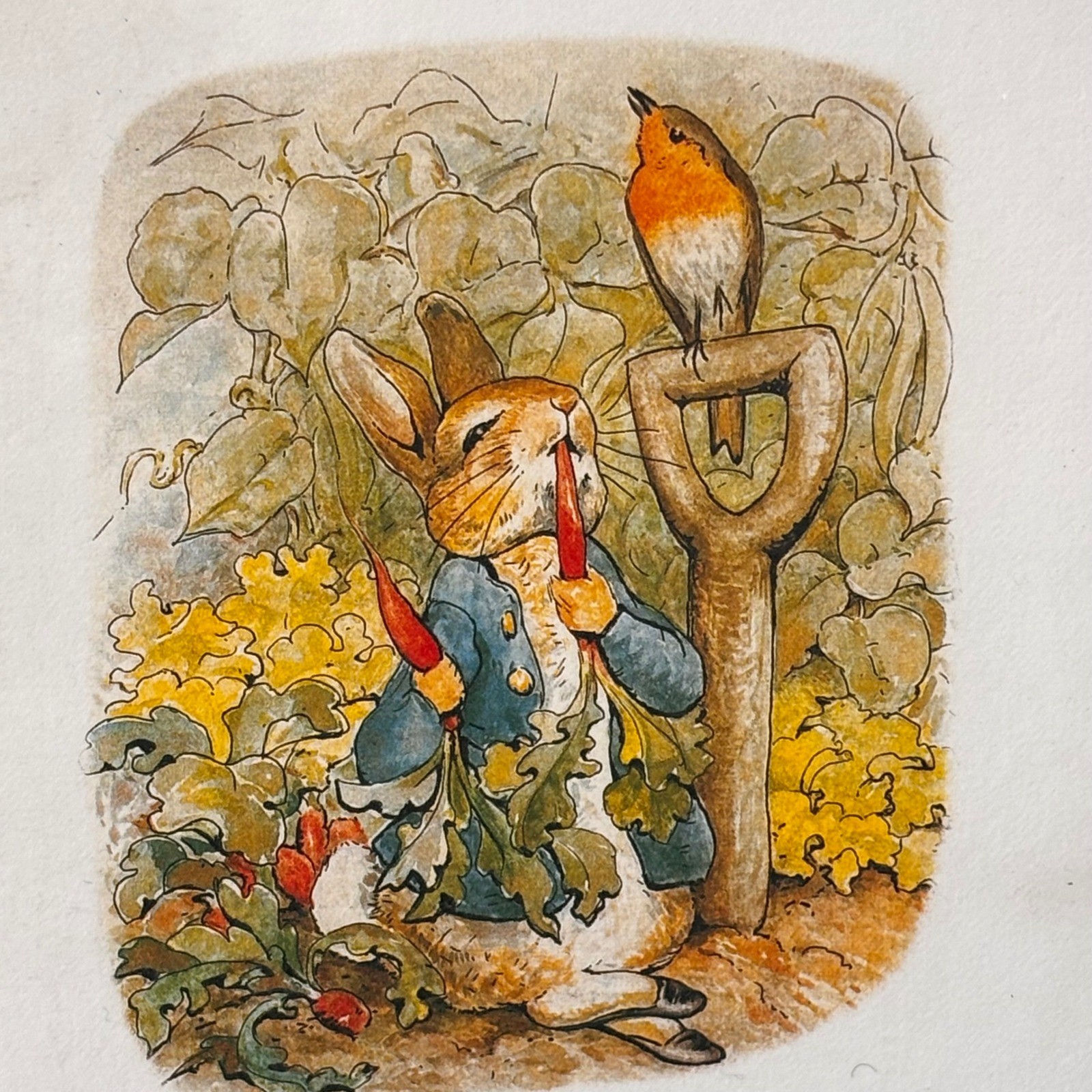 Vintage 1994 Peter Rabbit Beatrix Potter 10 Note Cards & Envelopes Michel & Co