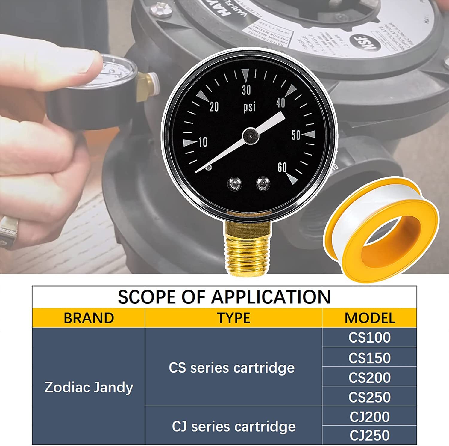R0556900 0.25" MPT 0-60psi Pressure Gauge for Zodiac Jandy CS CJ Series CS100