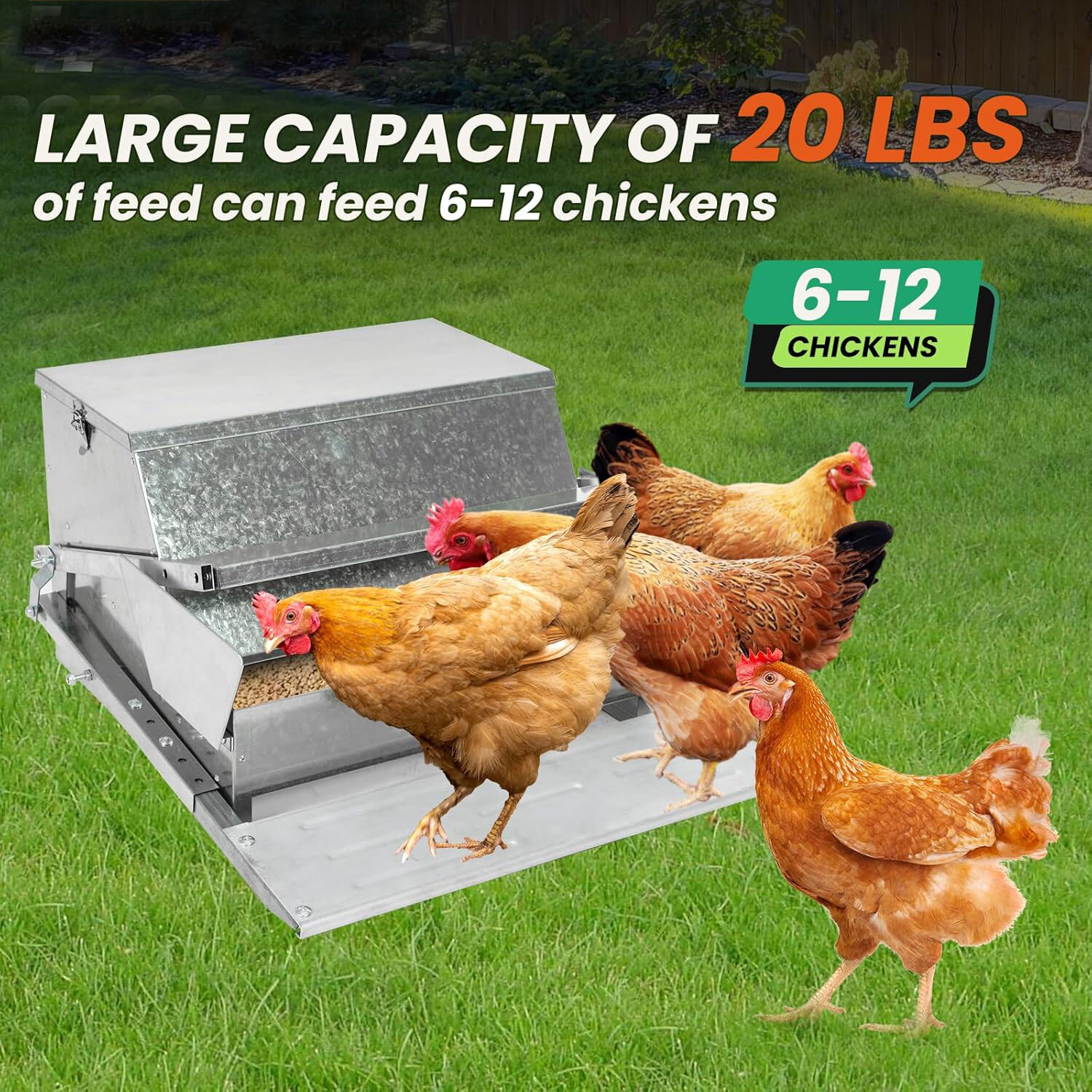 20 lb Automatic Chicken Treadle Feeder Galvanized Steel 6-12 Poultry Feeder