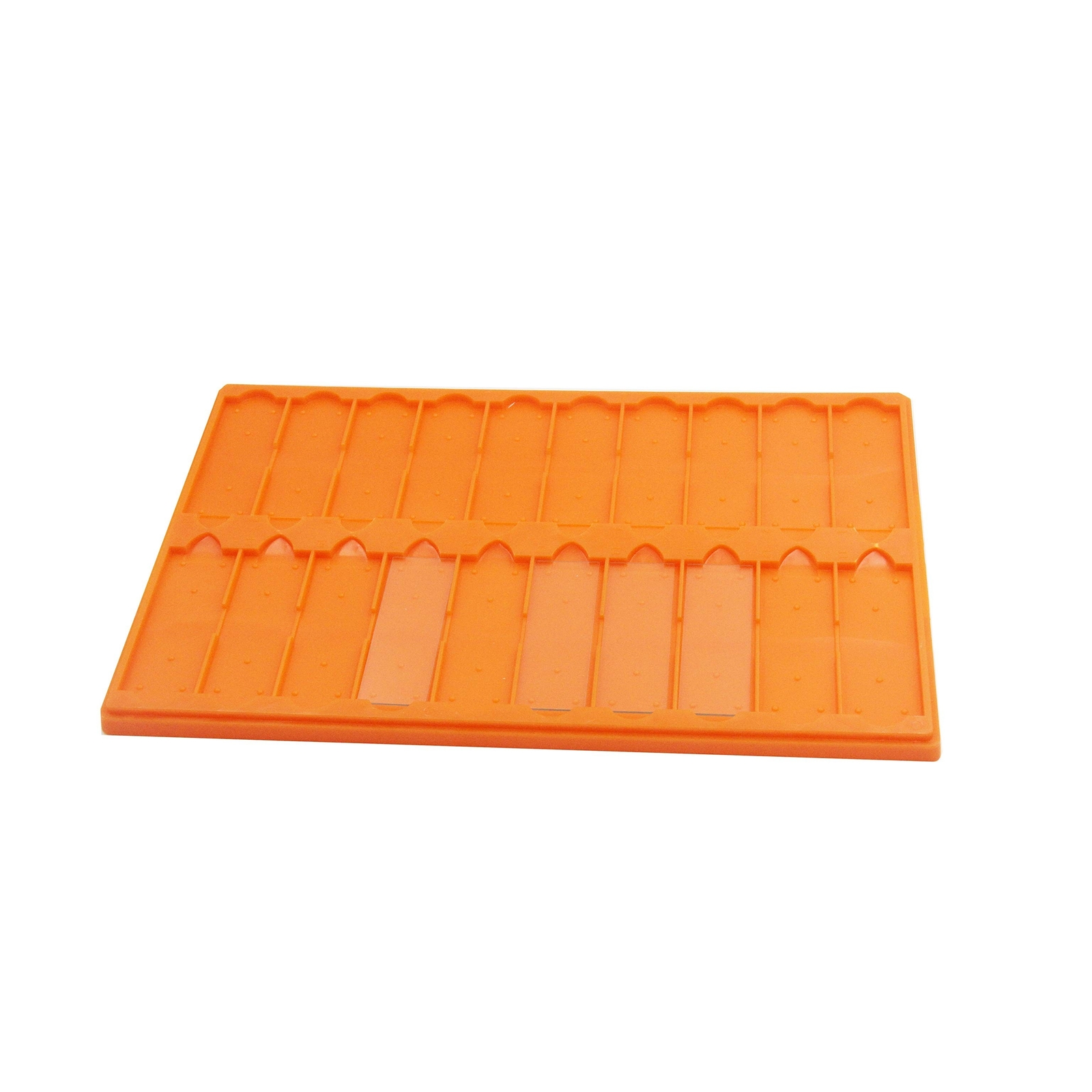 Plastic Microscope Slide Tray; 20 Capacity, Pack of 4