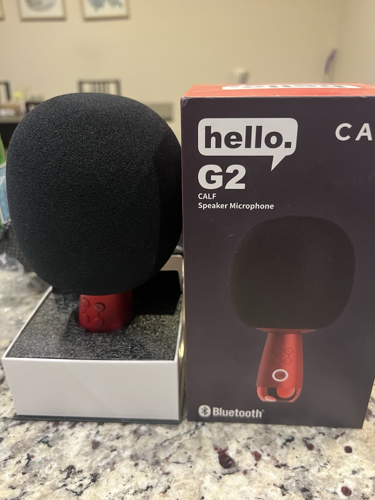 Karaoke Microphone