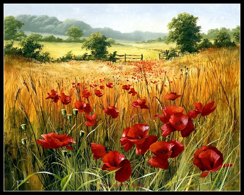 Poppies in the Field - DIY Chart Counted Cross Stitch Patterns Needlework DMC