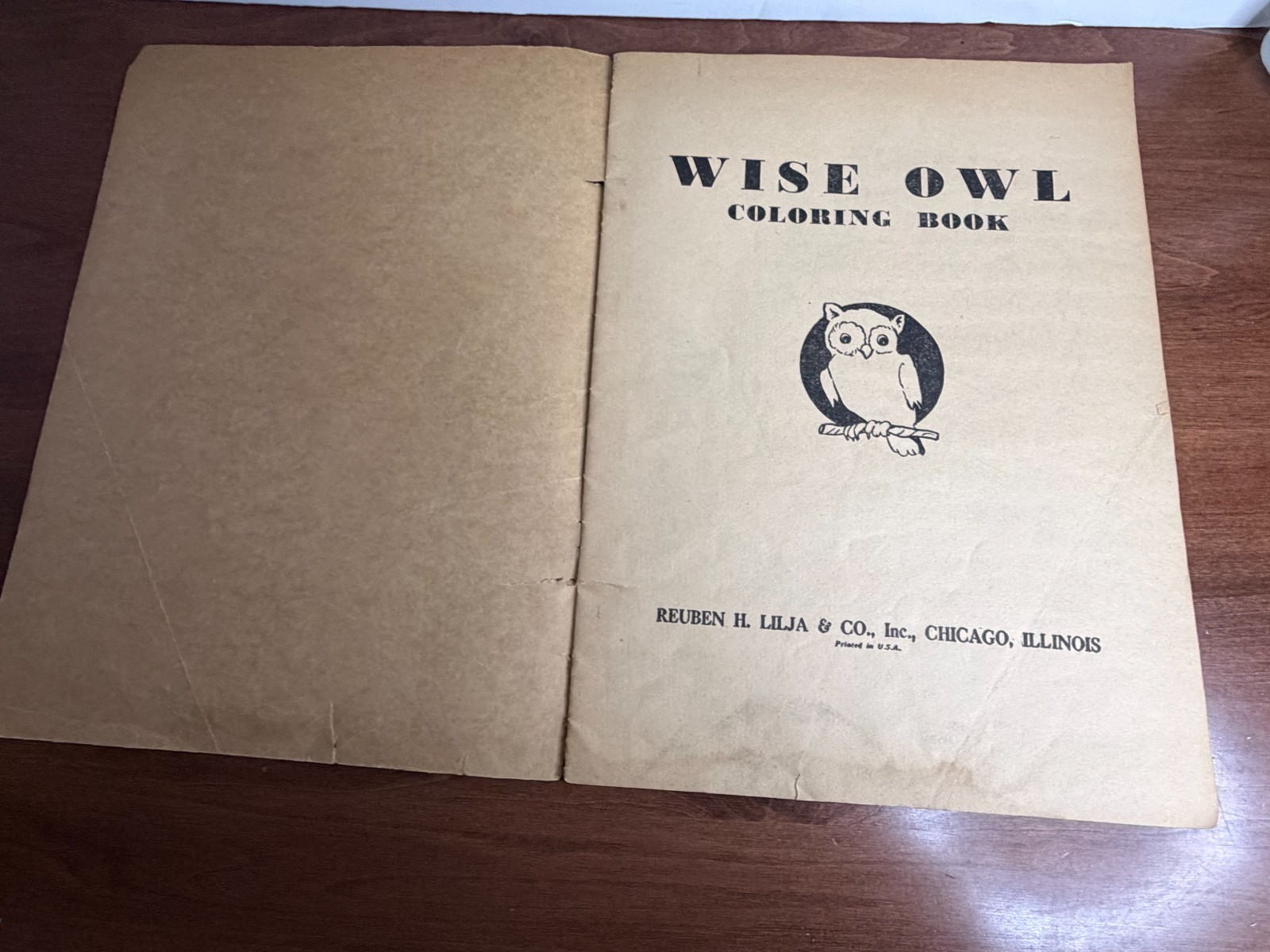 1960's Large Wise Owl Coloring book. (Q)