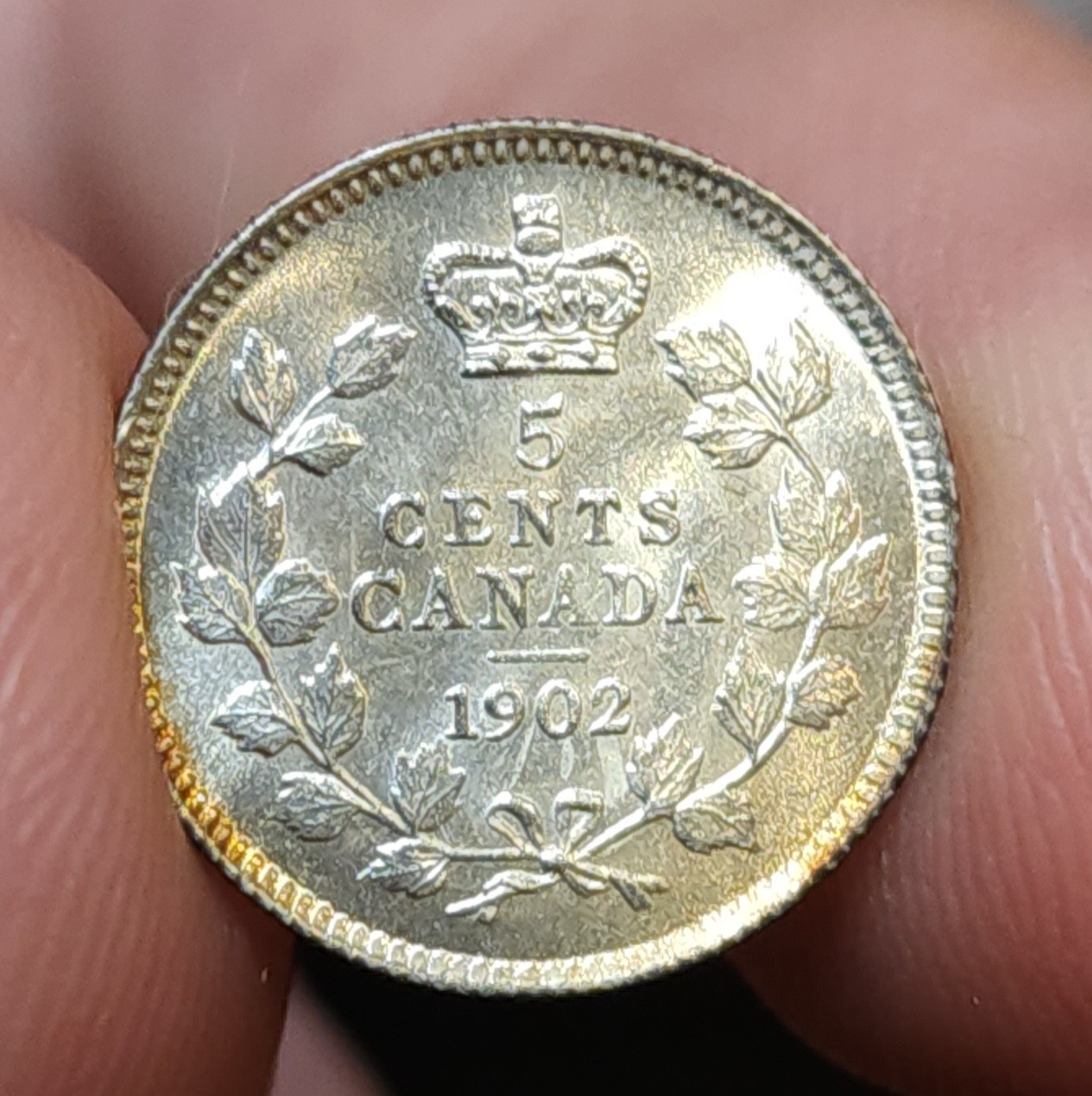 1902 Canada 5 Cents Bright Attractive