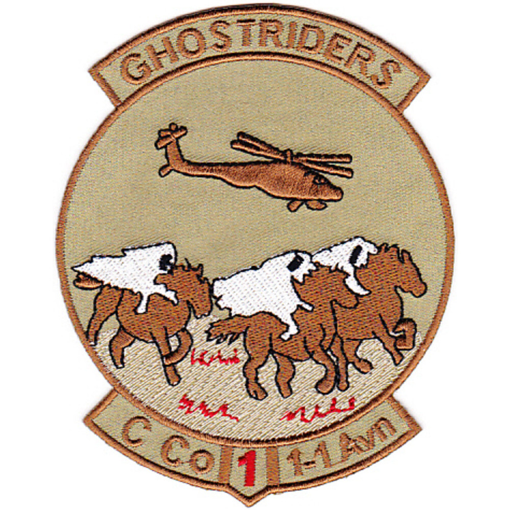 1st Battalion 1st Aviation Regiment C Company Patch