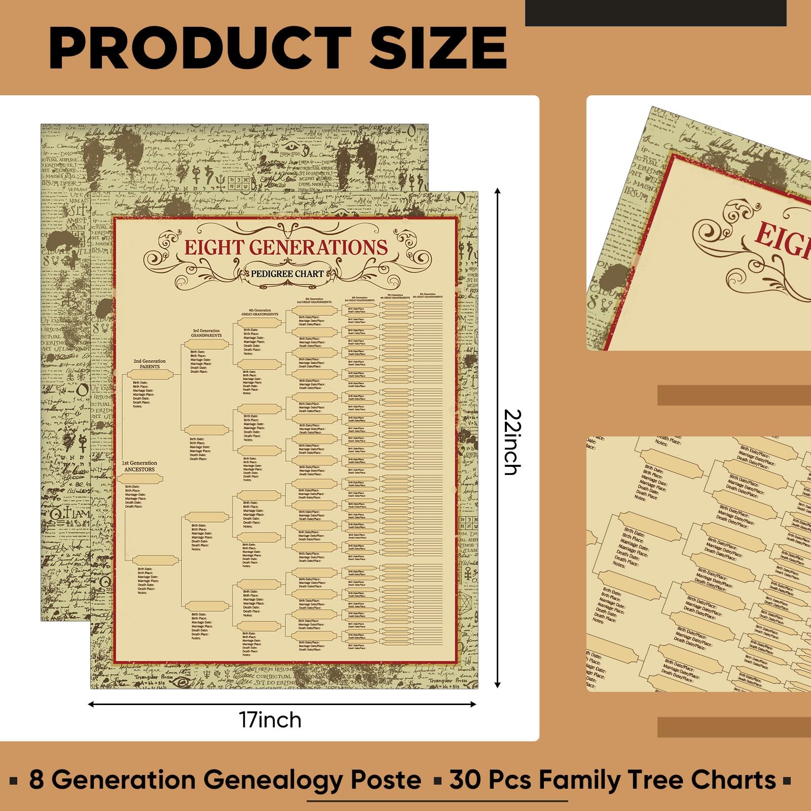 Genealogy Family Tree Charts 8 Generation 30 Pack