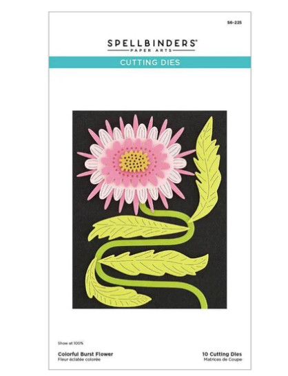 Spellbinders Colorful Burst Flower Cutting Die Set | 10 Dies | New
