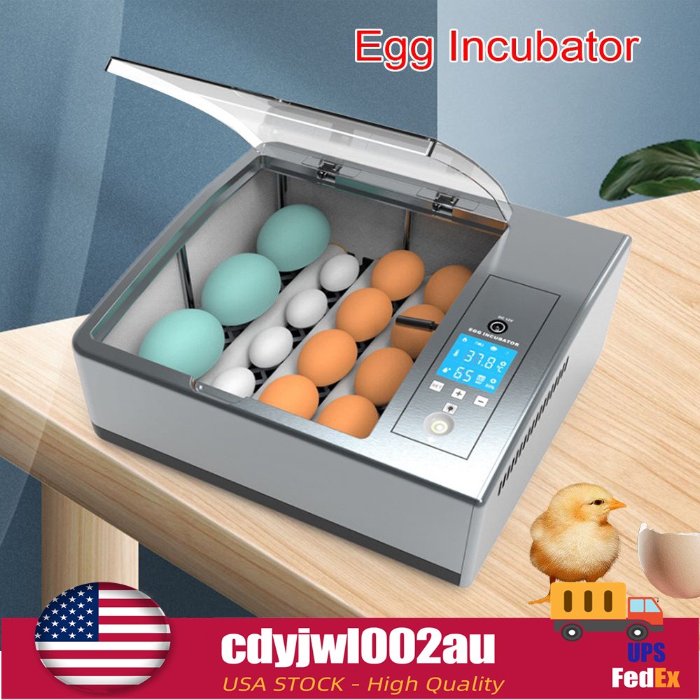 16 Chicken Egg Incubator Fit Hatching Eggs with Automatic Turner Temp Control US