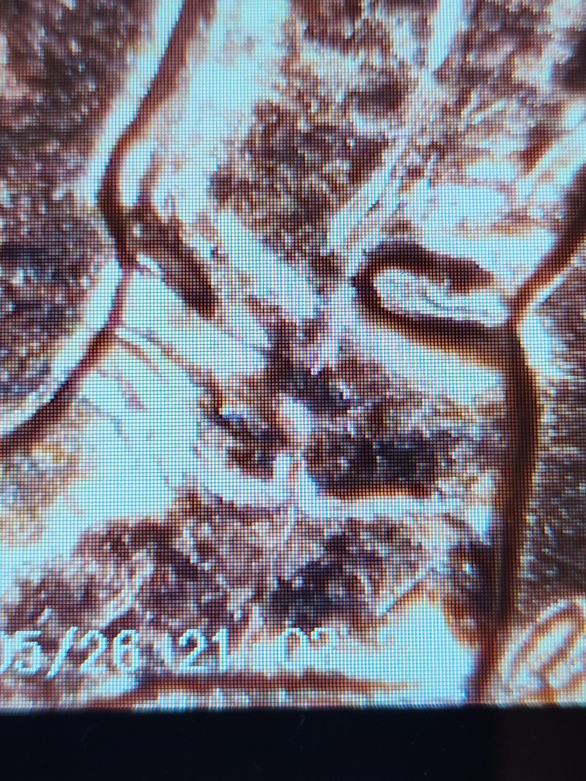 2009 Lincoln Bicentennial Formative Years Variety Small Cent Rim Error/DDO