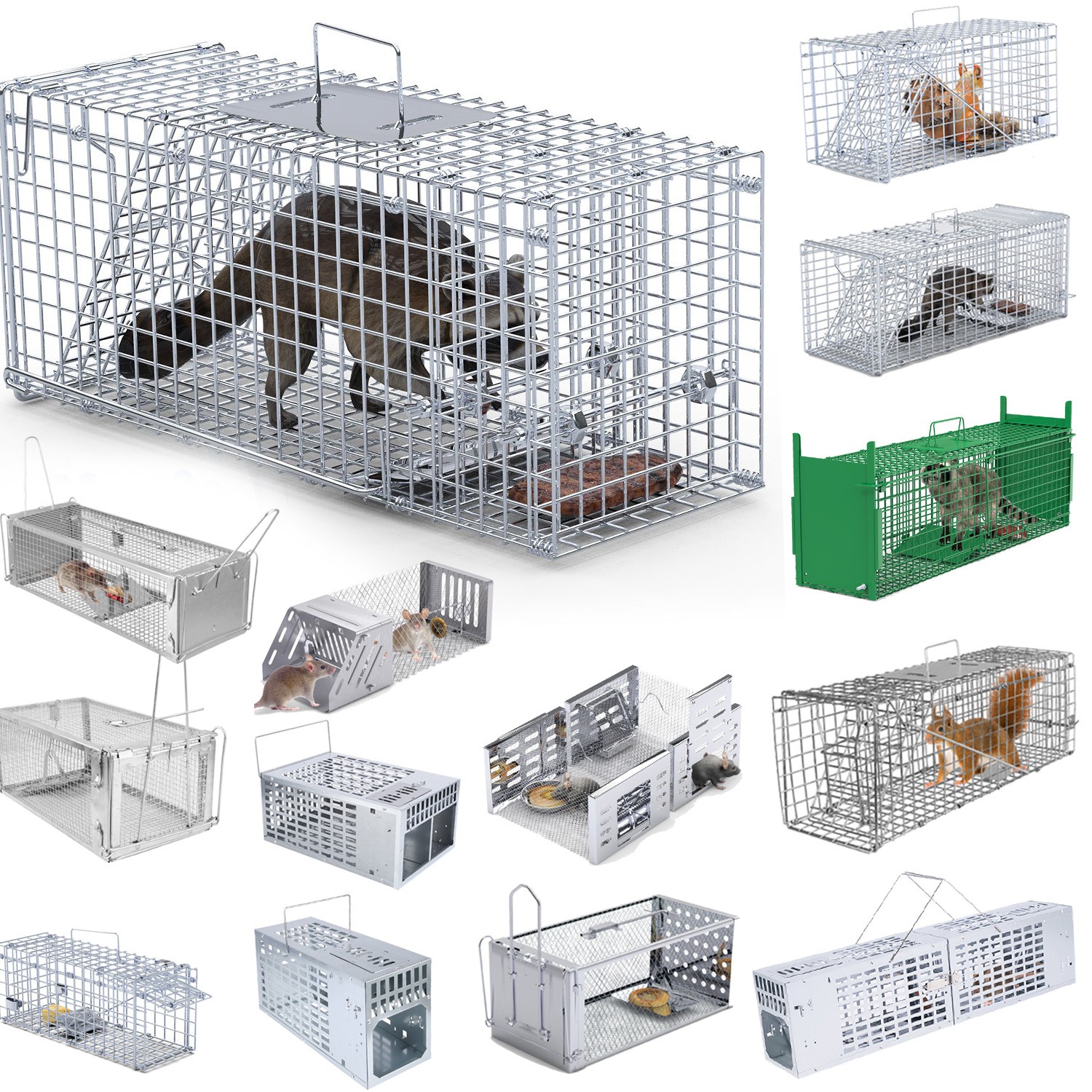 Humane Animal Trap Steel Cage for Cat Raccoon Squirrel Rat Live Animal Cage Trap