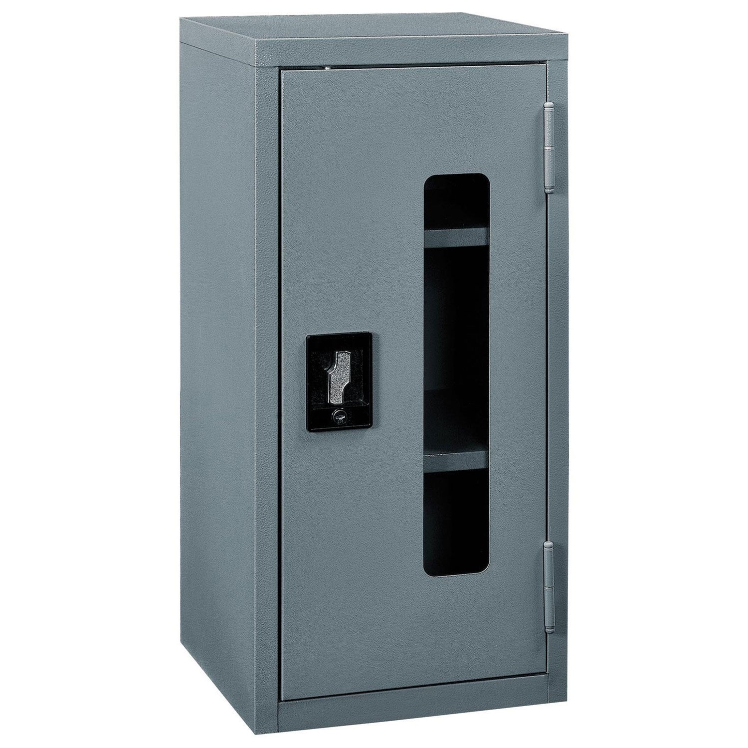 Assembled Clear View Wall Storage Cabinet 13-3/4x12-3/4x30 Gray