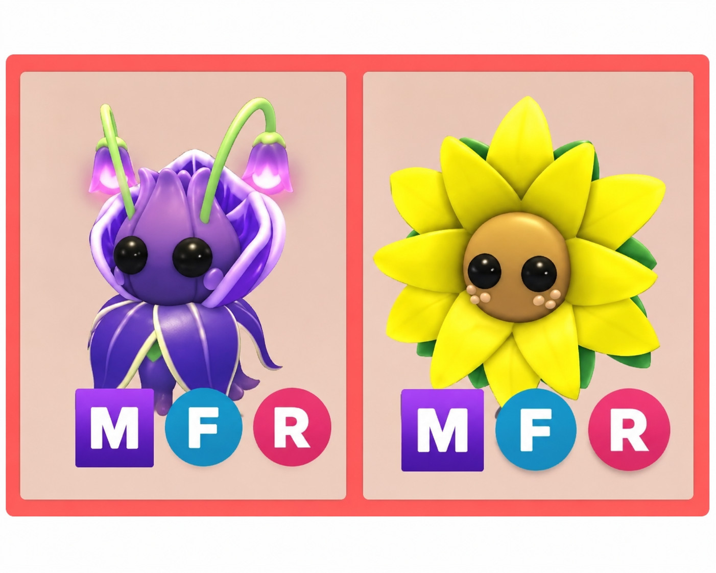 Violet Friend | Sunflower Friend | Adopt Now