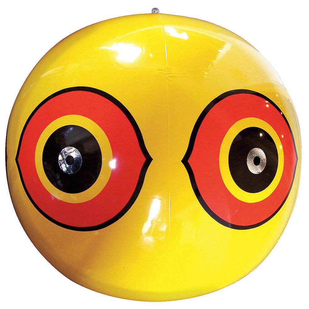 BIRD-X YELLOW SCARE EYES Visual Bird Repellers,Yellow,Vinyl 8DCF8