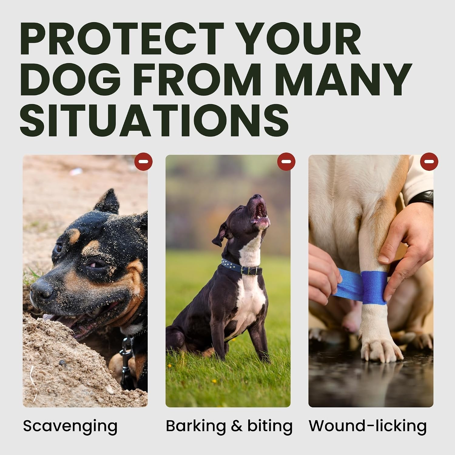 Training-Friendly Large Dog Muzzle with Cushioned Padding - Safe and Effective