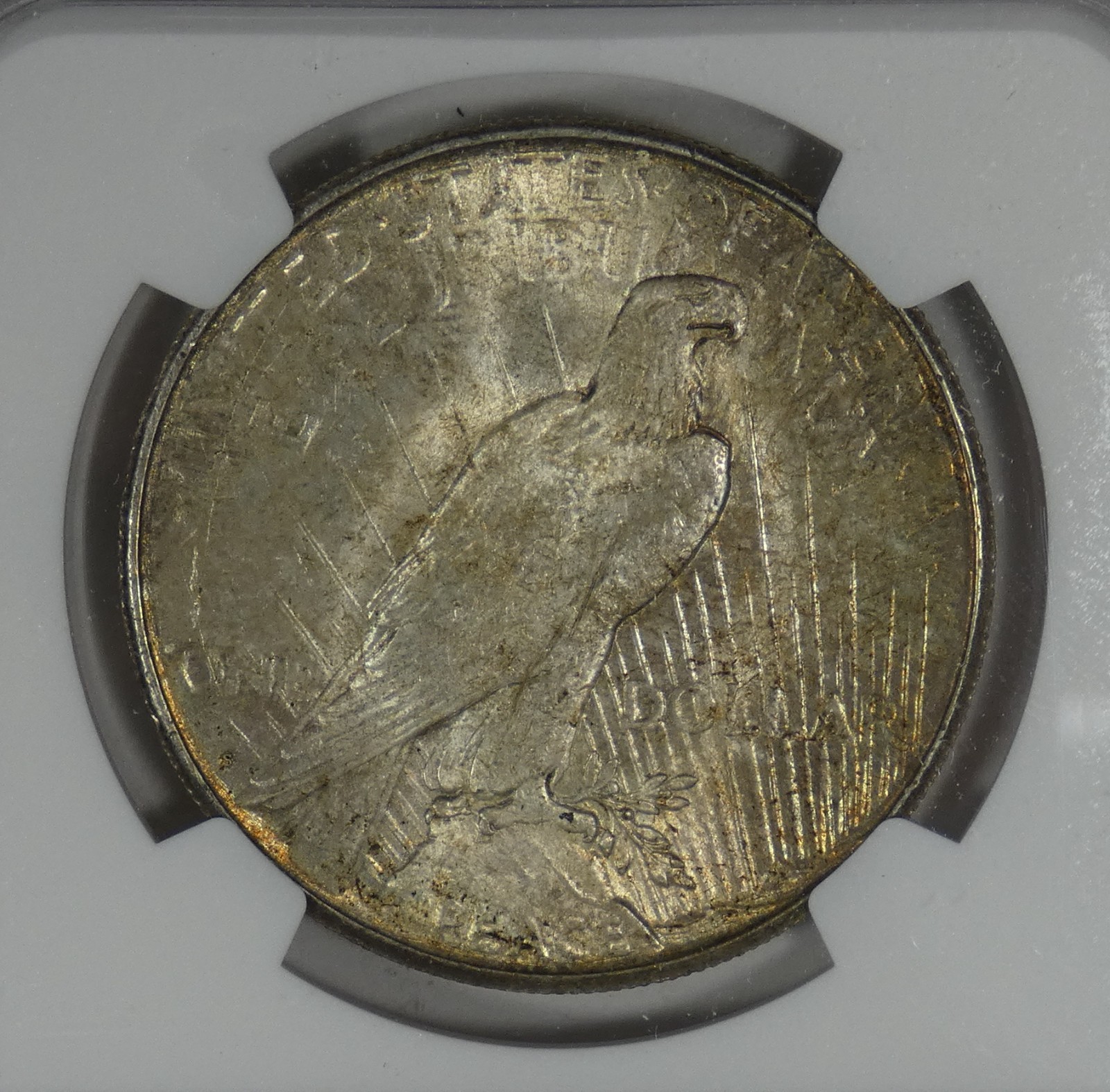 1925-S Peace Dollar CERTIFIED NGC MS 64 Silver Dollar