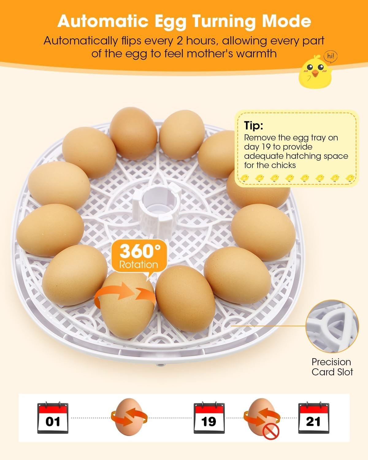 Incubators for Hatching Eggs, Chicken Waterer Cups, Automatic Egg Turner Hold...