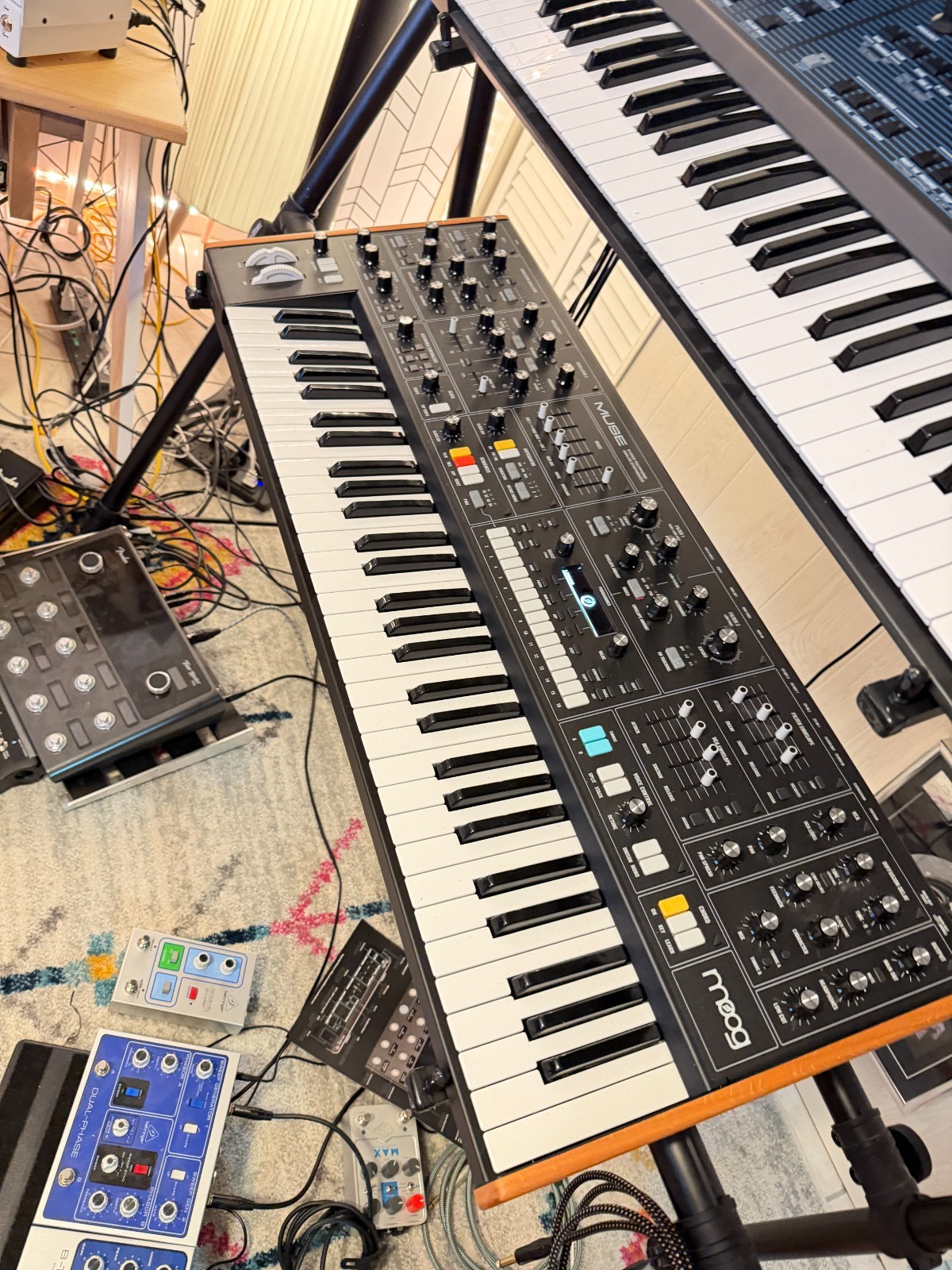Moog Music Muse 8-Voice Analog Bi-Timbral Polyphonic Synthesizer (Open Box Deal)