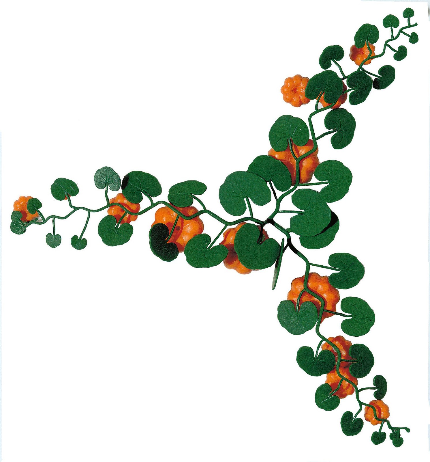 Ho Pumpkin Field