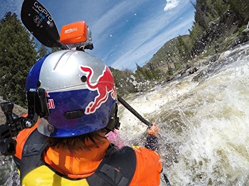 GoPro Floaty Back Door