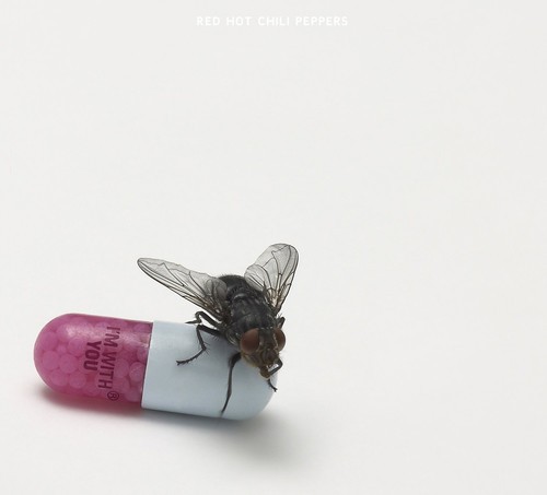 Red Hot Chili Peppers - I'm with You [New Vinyl LP]