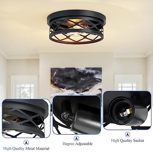2 Pack Flush Mount Ceiling Light,Black 2-Light 10.7in 2-Light Ceiling Light